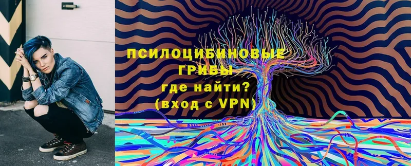 Галлюциногенные грибы мухоморы  магазин продажи   kraken маркетплейс  Дегтярск 